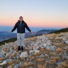 Jovica
